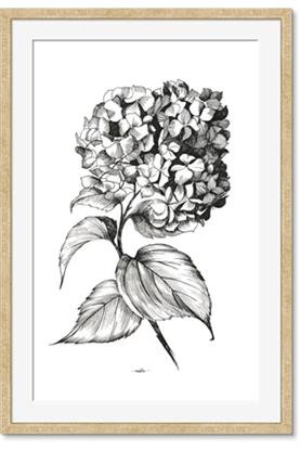 Image de Flowers and leaves II