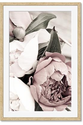 Image de Pink Bloom