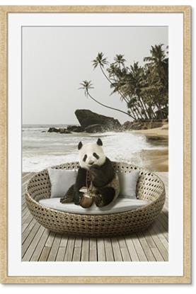 Image de Panda Sitting on Sofa