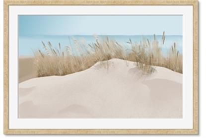 Image de Sand Bars
