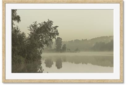Image de Dreamy Greens