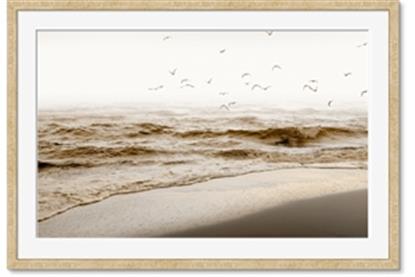 Image de Fly Away