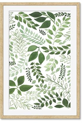 Image de Watercolor Ferns II