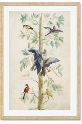 Image de Six Birds