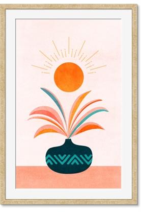 Image de Petals and Solar Bloom
