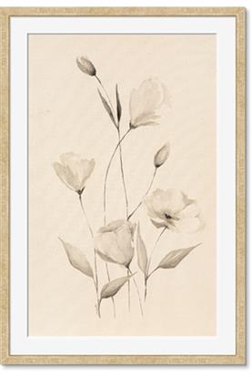Image de The Language of Petals I