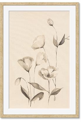 Image de The Language of Petals II