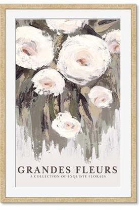 Image de Grandes Fleurs