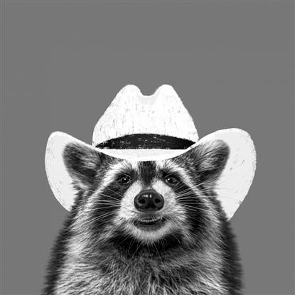 Picture of Wyatt The Cowboy Raccoon