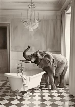 Picture of Luxuary Elephant