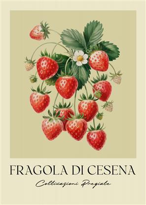 Image de Fragola Di Cesena