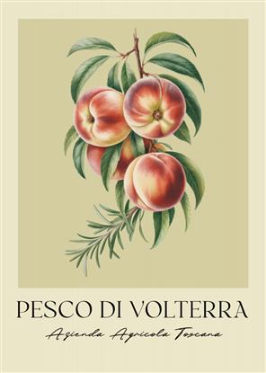 Image de Pesco Di Volterra