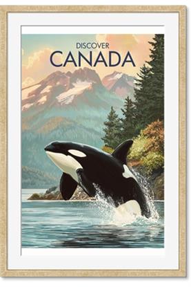 Picture of Crest of the Wild