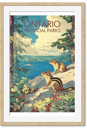 Picture of Critters of the Parks